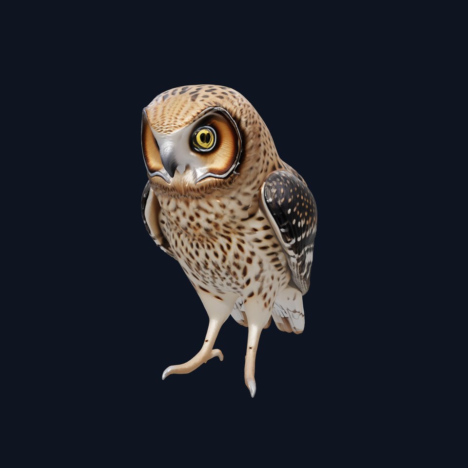 Realistic Owl Bird Character 3D Model